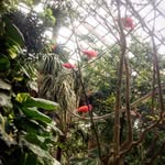 Marilyn Padron - @_marilyn_forever - Instagram