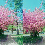 Marilyn Park - @sively_park - Instagram