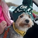 Marilyn Irene Partington - @marilynpartington - Instagram