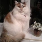 Marilyn Parton - @marilyn.parton.5 - Instagram