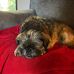 Marilyn Parton - Facebook