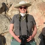 Marilyn Peake - @marilynpeakephotos - Instagram