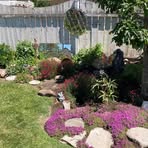 Marilyn Pearce - Facebook