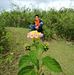 Marilyn Pedro - Facebook