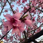 Yuri Saito - @marilynpedro168 - Instagram