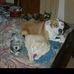 Marilyn Pera - Facebook