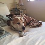 MarilynPera - @marilynpera4900 - Instagram