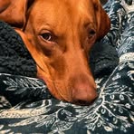 Marilyn Persson - Facebook