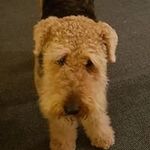 Marilyn Petty - @marilyn.petty.520 - Instagram