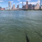 Marilyn Pickett - @mloja0472 - Instagram