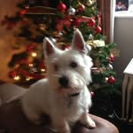Marilyn Pine - @marilynpine1 - Instagram