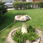 Marilyn Plant - @plant.marilyn - Instagram