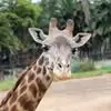 Marilyn Platte - @marilyn.platte - TikTok