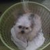 Marilyn Pohl - Facebook