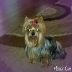 Marilyn Pollard - @marilynp0112 - Instagram