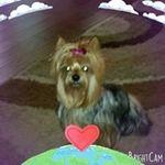 marilyn pollard - @pollard9306 - Instagram