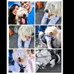Marilyn YPaul - @marilyn.pool.vpi - Instagram
