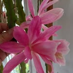 Marilyn Hebert Porter - @marilynporter805 - Instagram