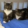Marilyn Porter - @marilyn.porter8 - TikTok