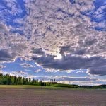 Marilyn Porterfield - @marilynporterfield - Instagram