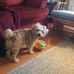 Marilyn Potts - Facebook
