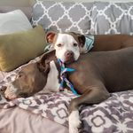 marilyn potts - @marilyn.potts1949 - Instagram
