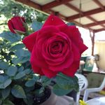 Marilyn Potts Butzer - @marilynbutzer - Instagram