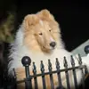 Marilyn Power - @marilyn.power - TikTok