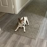 Marilyn Power - @marilynpower15 - Instagram