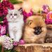 Marilyn Powers - Facebook