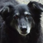 Marilyn Brandreth Prentice - @mprento2 - Instagram