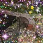 Marilyn Purdy - @marilyn.purdy.129 - Instagram