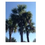 Marilyn Pyle - @pyle_marilyn - Instagram