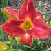 Marilyn Rae - Facebook