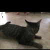 Marilyn Leigh Gonzalez Randall - @marilynleighgonza - TikTok