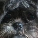 Marilyn Ratliff - @ratliffmarilyn - Instagram