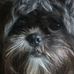 Marilyn Ratliff - Facebook