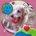 Marilyn Reece - Facebook