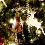 Marilyn Rees - @marilyn.rees.71 - Instagram