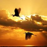 Marilyn Rickman - @marilyn.rickman.7 - Instagram