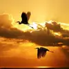 marilynrickman - @marilyn.rickman - TikTok