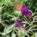 Marilyn Riddle - Facebook