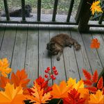 Marilyn Rigdon - @rigdonmarilyn - Instagram