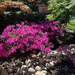 Marilyn Riley - @bobmarilyn - Instagram