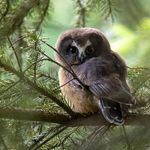 Marilyn Ringness - @marilynringness - Instagram