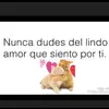 Marilyn Robles - @tu.corazn906 - TikTok
