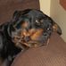 Marilyn Rodgers - Facebook