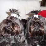 Marilyn Rodgers - @rodgers5826 - Instagram