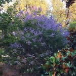 Marilyn Mewhinney Rushing - @rushingmmr - Instagram