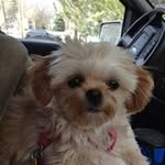 Marilyn Ryan - @marilyn.ryan.7509 - Instagram